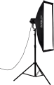 66.png
